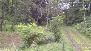 長野県菅平高原 ゆたか山荘 坂上 2026/09/04 07:15
