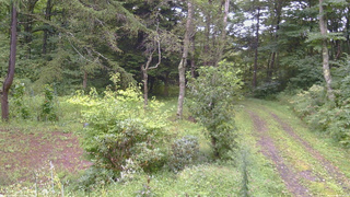 長野県菅平高原 ゆたか山荘 坂上 2026/09/04 07:30
