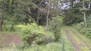 長野県菅平高原 ゆたか山荘 坂上 2026/09/04 07:45
