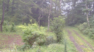 長野県菅平高原 ゆたか山荘 坂上 2026/09/04 08:00