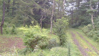 長野県菅平高原 ゆたか山荘 坂上 2026/09/04 08:15