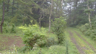 長野県菅平高原 ゆたか山荘 坂上 2026/09/04 09:00