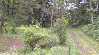 長野県菅平高原 ゆたか山荘 坂上 2026/09/04 09:30