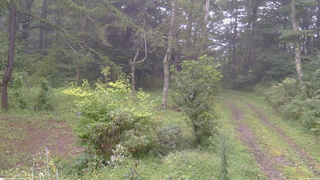 長野県菅平高原 ゆたか山荘 坂上 2026/09/04 09:45