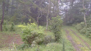 長野県菅平高原 ゆたか山荘 坂上 2026/09/04 10:00