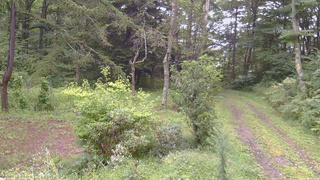 長野県菅平高原 ゆたか山荘 坂上 2026/09/04 10:15