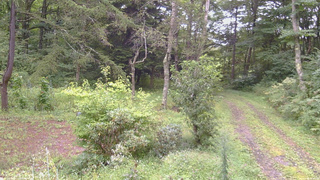 長野県菅平高原 ゆたか山荘 坂上 2026/09/04 10:30