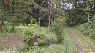 長野県菅平高原 ゆたか山荘 坂上 2026/09/04 10:45