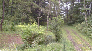 長野県菅平高原 ゆたか山荘 坂上 2026/09/04 11:00