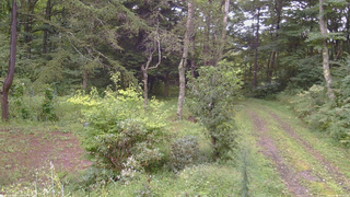 長野県菅平高原 ゆたか山荘 坂上 2026/09/04 11:15