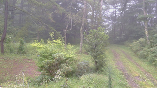 長野県菅平高原 ゆたか山荘 坂上 2026/09/04 11:45