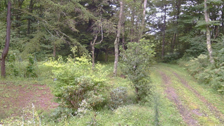 長野県菅平高原 ゆたか山荘 坂上 2026/09/04 12:00