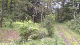 長野県菅平高原 ゆたか山荘 坂上 2026/09/04 12:15