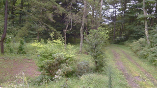 長野県菅平高原 ゆたか山荘 坂上 2026/09/04 12:45