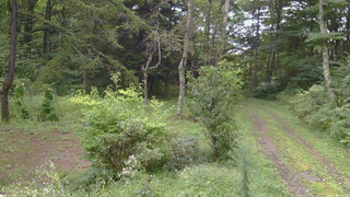 長野県菅平高原 ゆたか山荘 坂上 2026/09/04 13:00