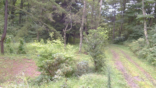 長野県菅平高原 ゆたか山荘 坂上 2026/09/04 13:15