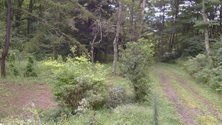 長野県菅平高原 ゆたか山荘 坂上 2026/09/04 13:30