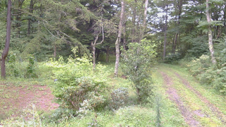 長野県菅平高原 ゆたか山荘 坂上 2026/09/04 14:00