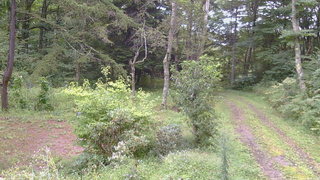 長野県菅平高原 ゆたか山荘 坂上 2026/09/04 14:15