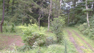 長野県菅平高原 ゆたか山荘 坂上 2026/09/04 14:30