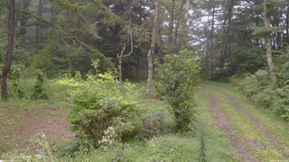 長野県菅平高原 ゆたか山荘 坂上 2026/09/04 15:15