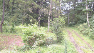長野県菅平高原 ゆたか山荘 坂上 2026/09/04 15:45