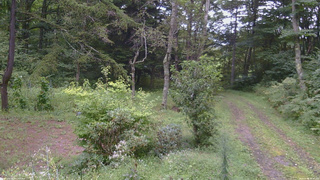 長野県菅平高原 ゆたか山荘 坂上 2026/09/04 16:00