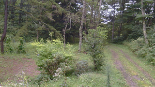 長野県菅平高原 ゆたか山荘 坂上 2026/09/04 16:15