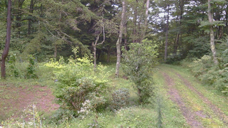 長野県菅平高原 ゆたか山荘 坂上 2026/09/04 16:30