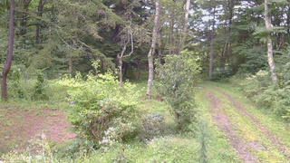 長野県菅平高原 ゆたか山荘 坂上 2026/09/04 16:45