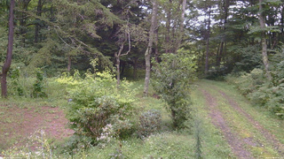長野県菅平高原 ゆたか山荘 坂上 2026/09/04 17:00