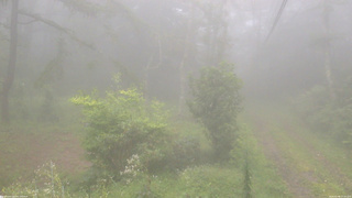長野県菅平高原 ゆたか山荘 坂上 2026/09/04 17:30