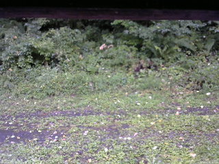 長野県菅平高原 ゆたか山荘 東側(坂下) 2026/09/05 06:30