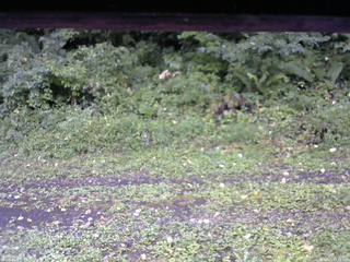 長野県菅平高原 ゆたか山荘 東側(坂下) 2026/09/05 07:15