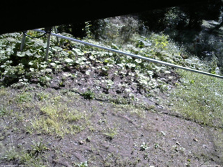 長野県菅平高原 ゆたか山荘 駐車場 2026/09/05 08:45