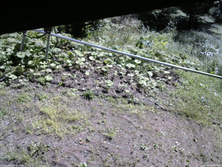 長野県菅平高原 ゆたか山荘 駐車場 2026/09/05 09:15