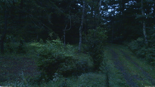 長野県菅平高原 ゆたか山荘 坂上 2026/09/05 05:15