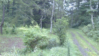長野県菅平高原 ゆたか山荘 坂上 2026/09/05 05:45