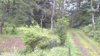長野県菅平高原 ゆたか山荘 坂上 2026/09/05 06:00