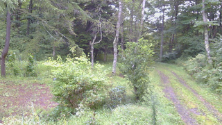 長野県菅平高原 ゆたか山荘 坂上 2026/09/05 06:15