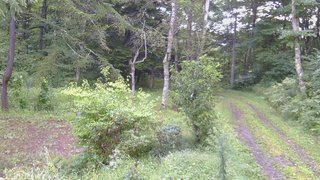 長野県菅平高原 ゆたか山荘 坂上 2026/09/05 06:30