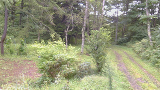 長野県菅平高原 ゆたか山荘 坂上 2026/09/05 06:45