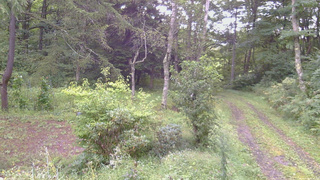 長野県菅平高原 ゆたか山荘 坂上 2026/09/05 07:30
