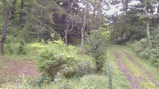 長野県菅平高原 ゆたか山荘 坂上 2026/09/05 07:45