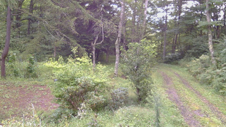 長野県菅平高原 ゆたか山荘 坂上 2026/09/05 08:00