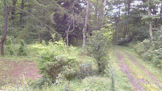 長野県菅平高原 ゆたか山荘 坂上 2026/09/05 08:15