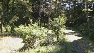 長野県菅平高原 ゆたか山荘 坂上 2026/09/05 10:30
