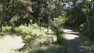 長野県菅平高原 ゆたか山荘 坂上 2026/09/05 10:45
