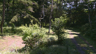 長野県菅平高原 ゆたか山荘 坂上 2026/09/05 11:00