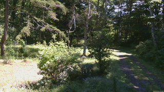 長野県菅平高原 ゆたか山荘 坂上 2026/09/05 11:30